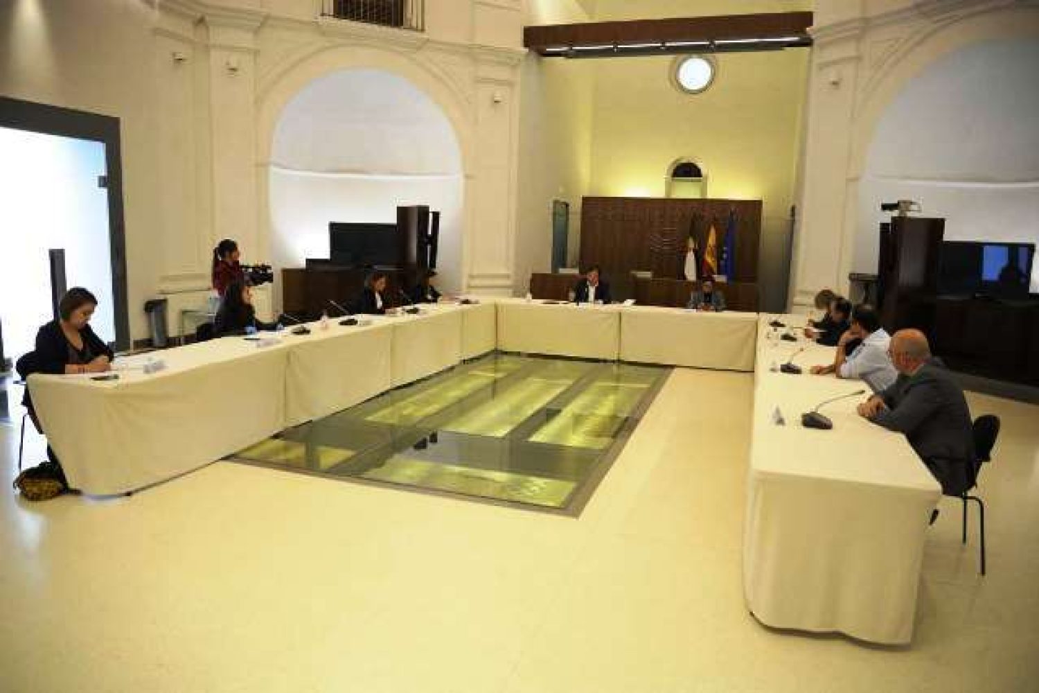 vara-grupos parlamentarios