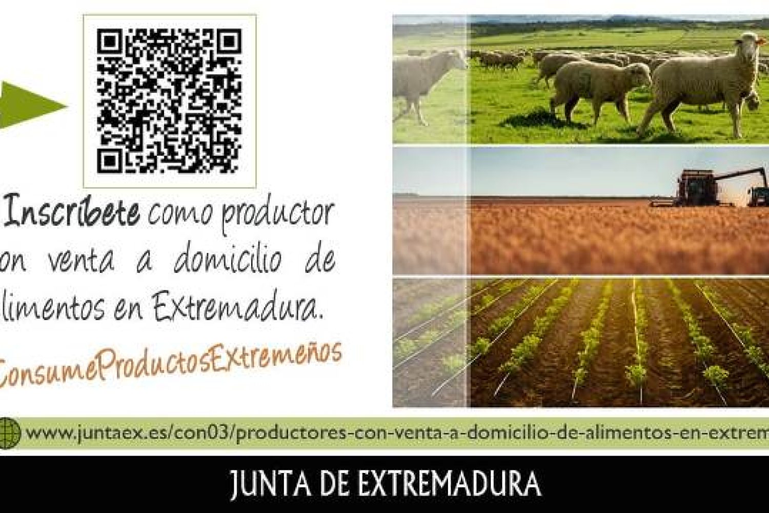 venta on line agricultura