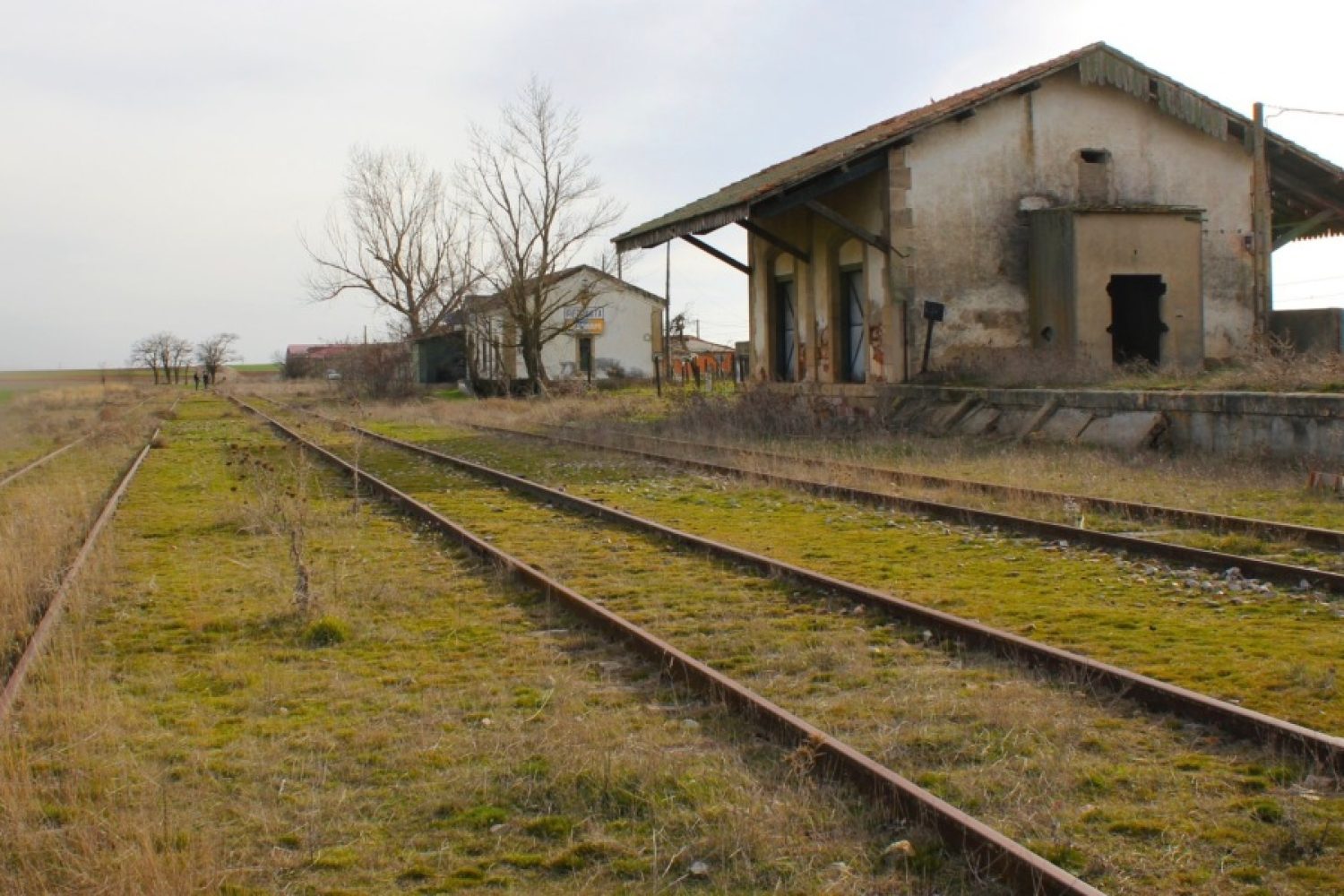 via de la plata