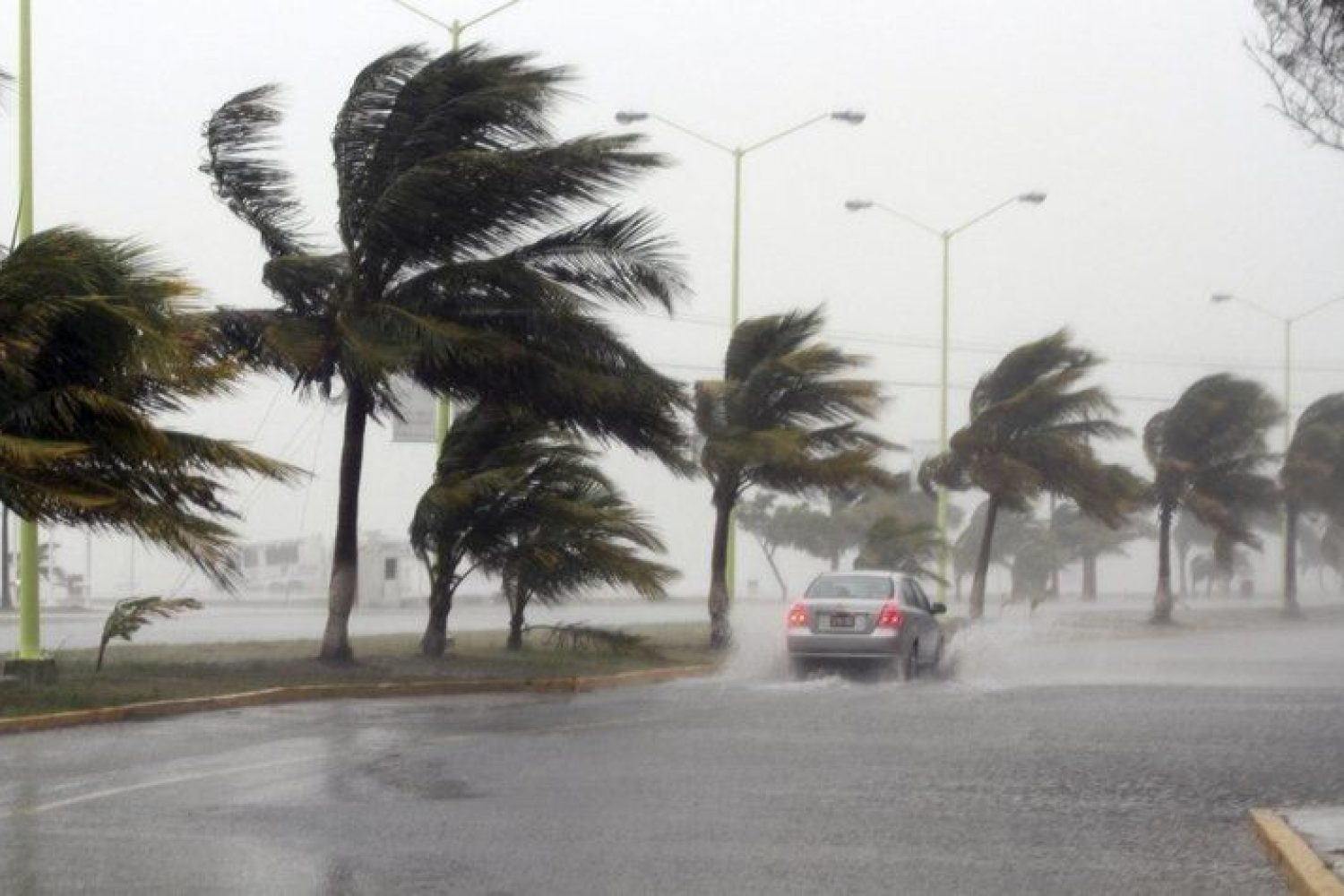 viento