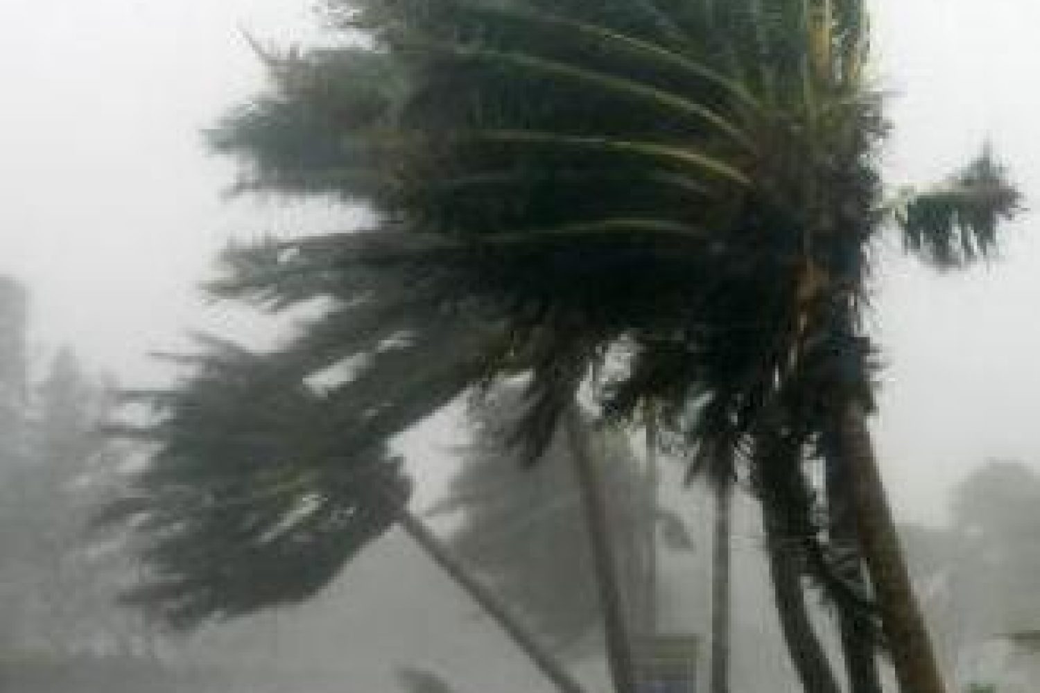 viento