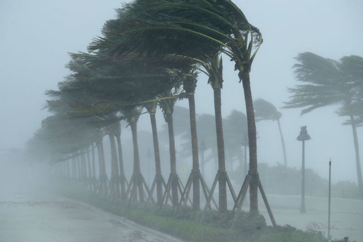 viento