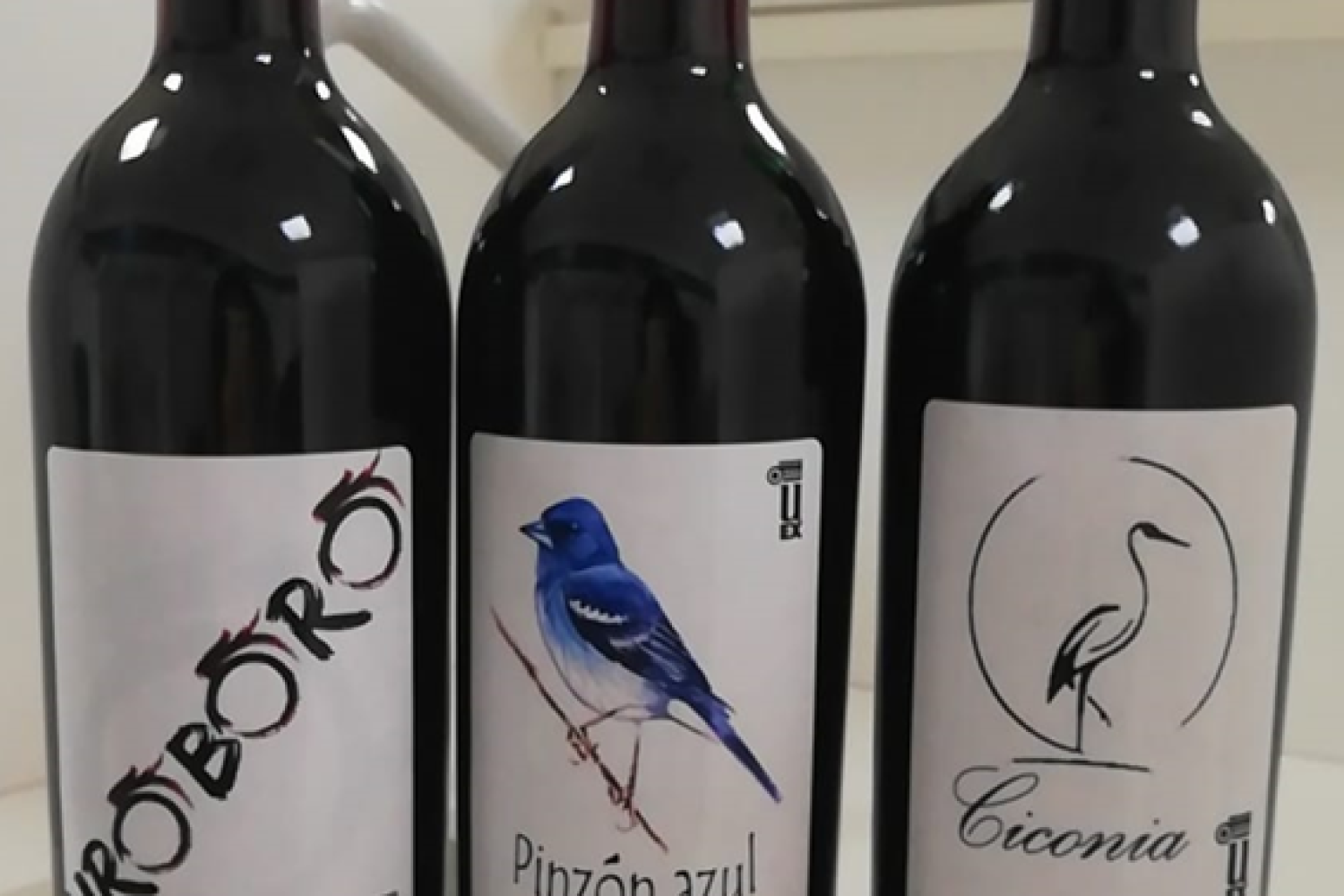 vinos-premiados