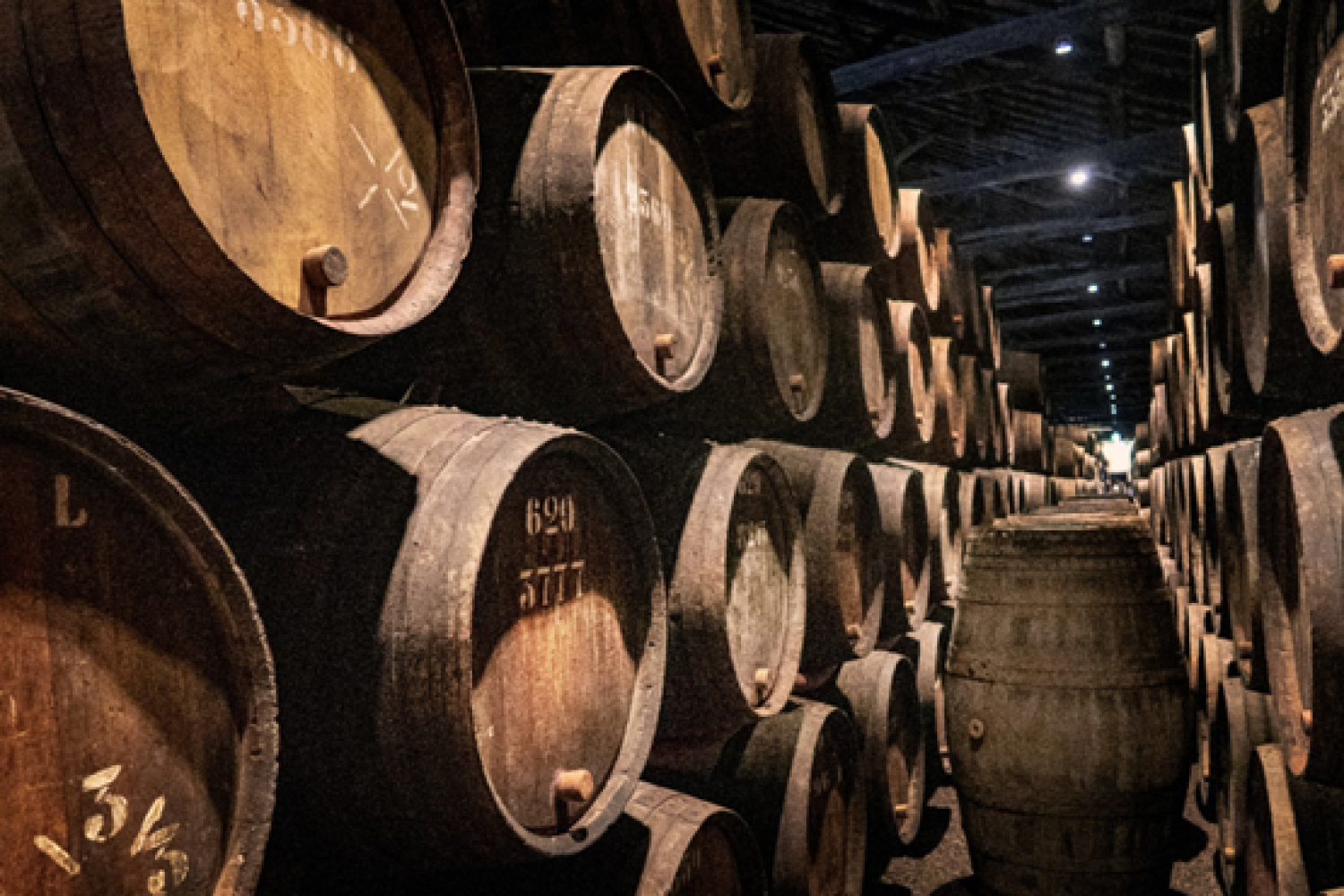 vinos